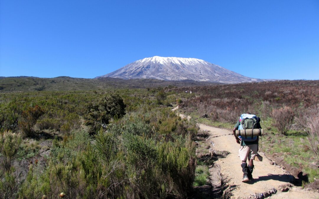 Kilimanjaro Trek