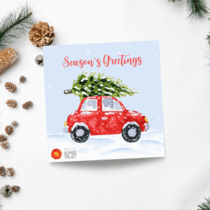 Festive Delivery – Christmas cards (pack of 10)