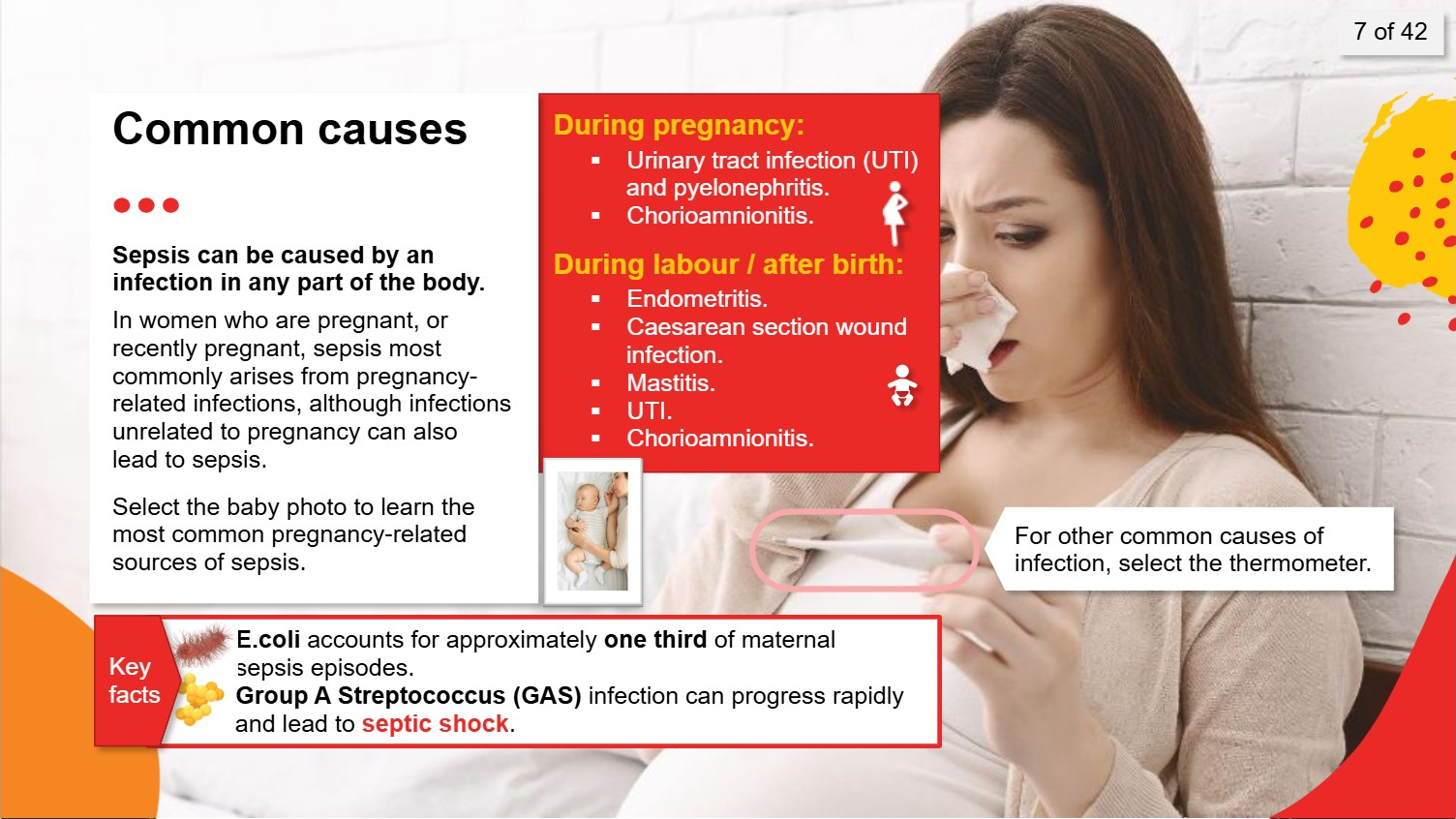 SEPSIS IN MATERNITY E-LEARNING MODULE (ONE YEAR’S ACCESS) - Image 4